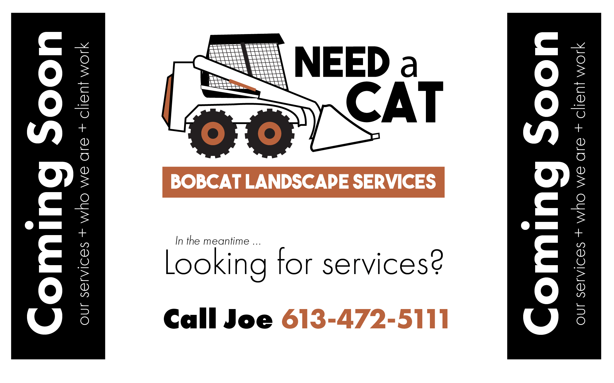 Need A Cat - Coming Soon